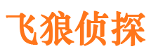 冷湖市婚姻出轨调查